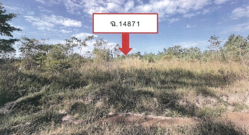ขายทอดตลาด ที่ดินว่างเปล่า ต.พังงู อ.หนองหาน จ.อุดรธานี