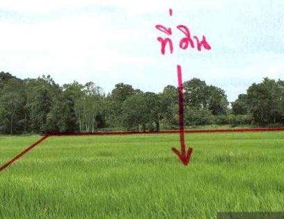 ขายทอดตลาด ที่ดินว่างเปล่า ต.หัวนาคำ อ.ศรีธาตุ จ.อุดรธานี