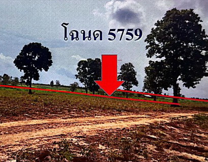 ขายทอดตลาด ที่ดินว่างเปล่า ต.หนองหญ้าไซ อ.วังสามหมอ จ.อุดรธานี