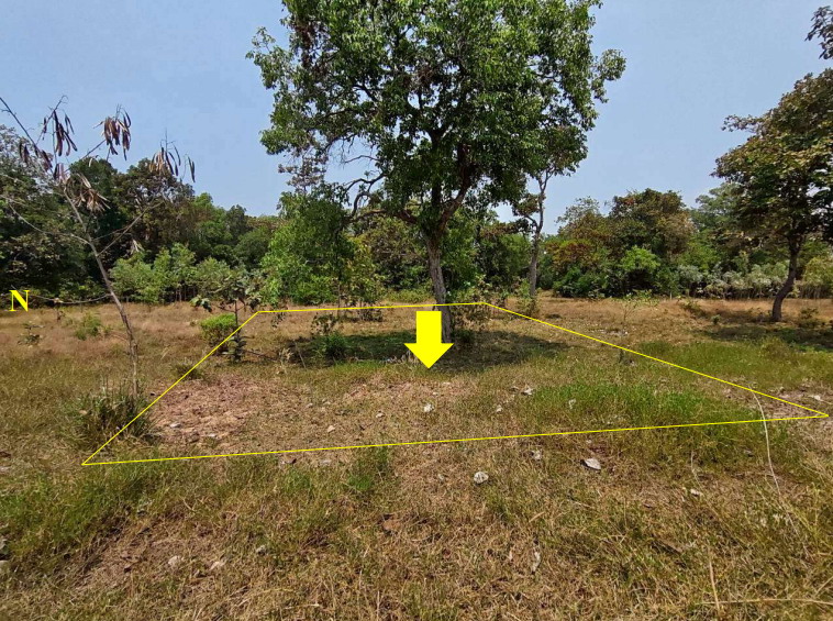 ขายทอดตลาด ที่ดินว่างเปล่า ต.ธาตุ อ.วารินชำราบ จ.อุบลราชธานี