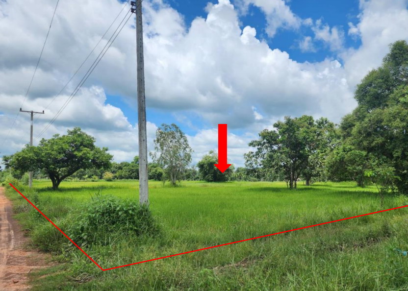 ขายทอดตลาด ที่ดินว่างเปล่า จ.สุราษฎร์ธานี