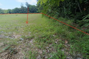 ขายทอดตลาด ที่ดินว่างเปล่า จ.อุบลราชธานี
