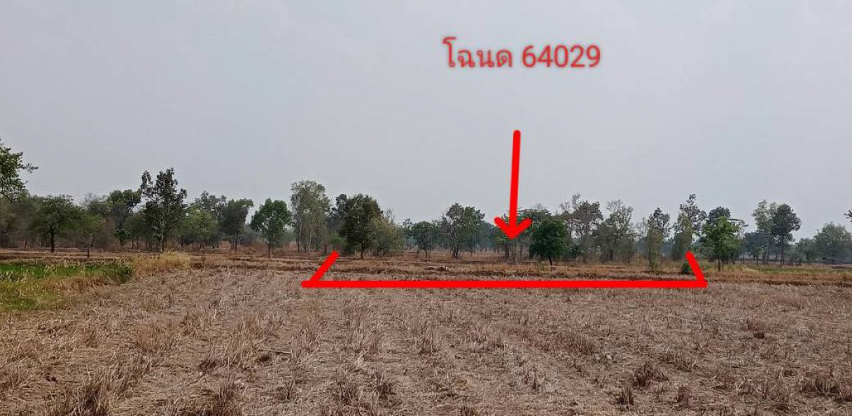 ขายทอดตลาด ที่ดินว่างเปล่า ต.โพธิ์ศรี อ.พิบูลมังสาหาร จ.อุบลราชธานี