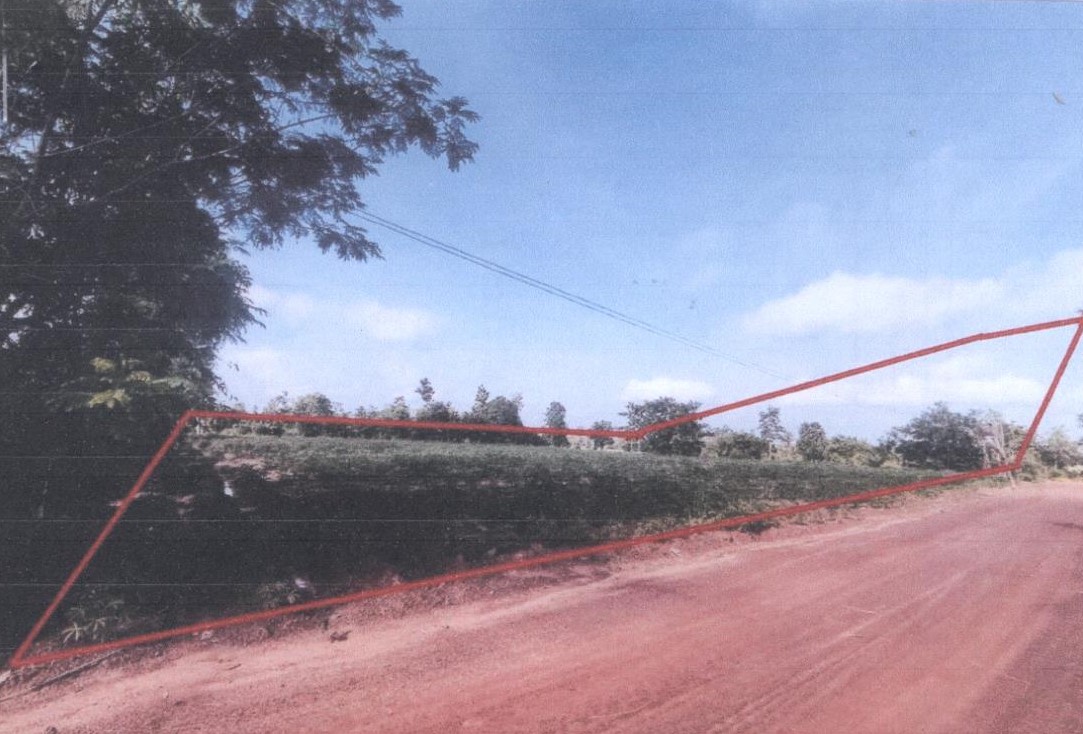 ขายทอดตลาด ที่ดินว่างเปล่า ต.หนองแสงใหญ่ อ.โขงเจียม จ.อุบลราชธานี