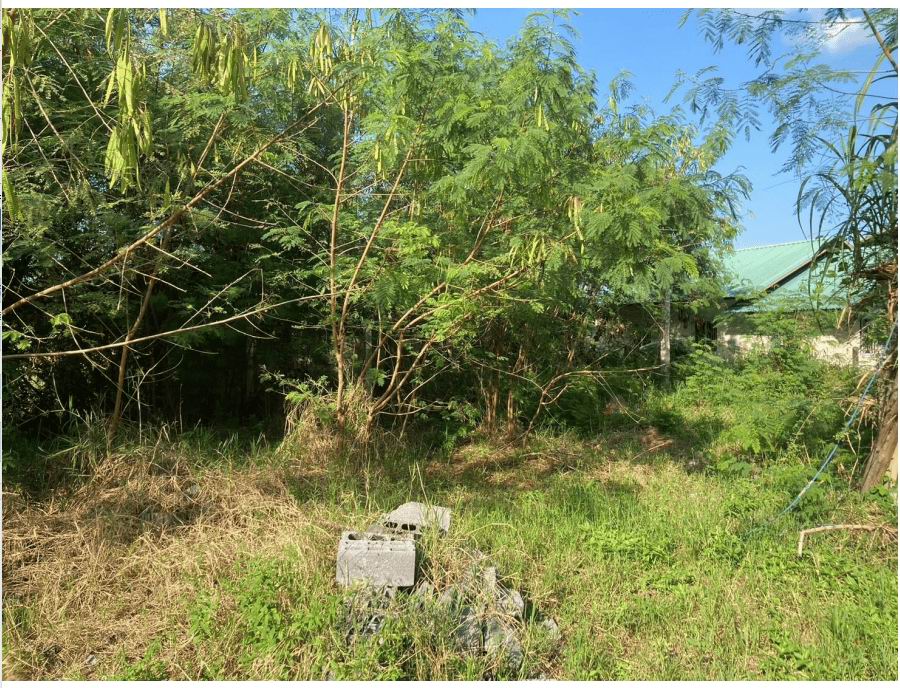 ขายทอดตลาด ที่ดินว่างเปล่า ต.หนองฮาง อ.ม่วงสามสิบ จ.อุบลราชธานี