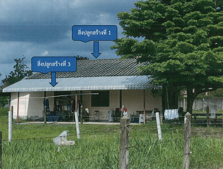 ขายทอดตลาด ที่ดินพร้อมสิ่งปลูกสร้าง ต.หัวเรือ อ.เมืองอุบลราชธานี จ.อุบลราชธานี