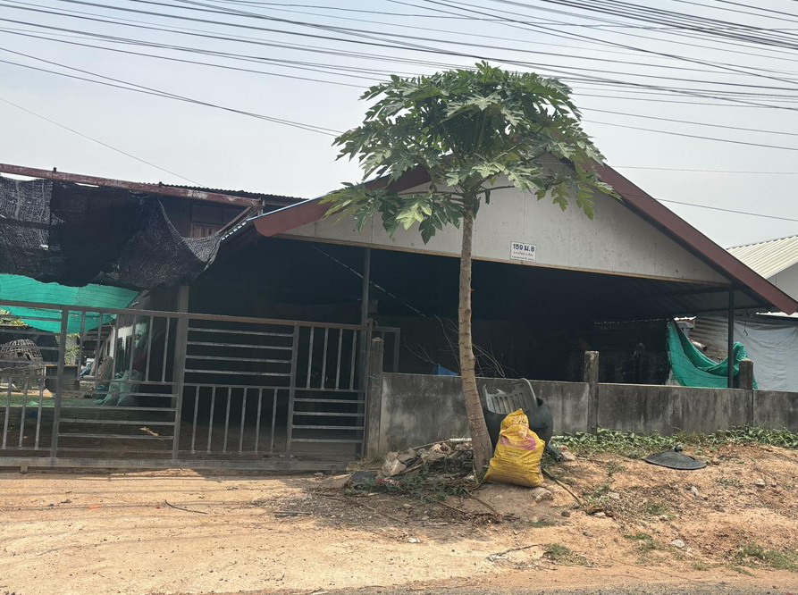 ขายทอดตลาด ที่ดินพร้อมสิ่งปลูกสร้าง ต.ขามใหญ่ อ.เมืองอุบลราชธานี จ.อุบลราชธานี