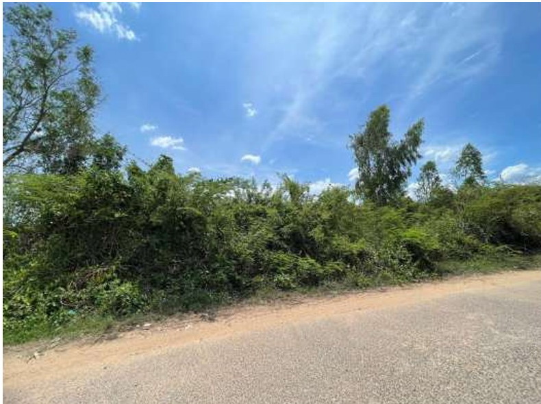 ขายทอดตลาด ที่ดินว่างเปล่า ต.แจระแม อ.เมืองอุบลราชธานี จ.อุบลราชธานี
