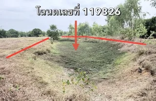 รูปทรัพย์ 1