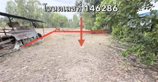 รูปทรัพย์ 2