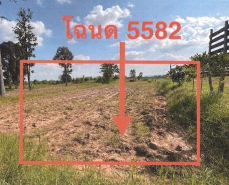 ขายทอดตลาด ที่ดินว่างเปล่า ต.หัวนาคำ อ.ศรีธาตุ จ.อุดรธานี