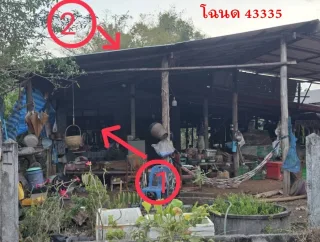 รูปทรัพย์ 2