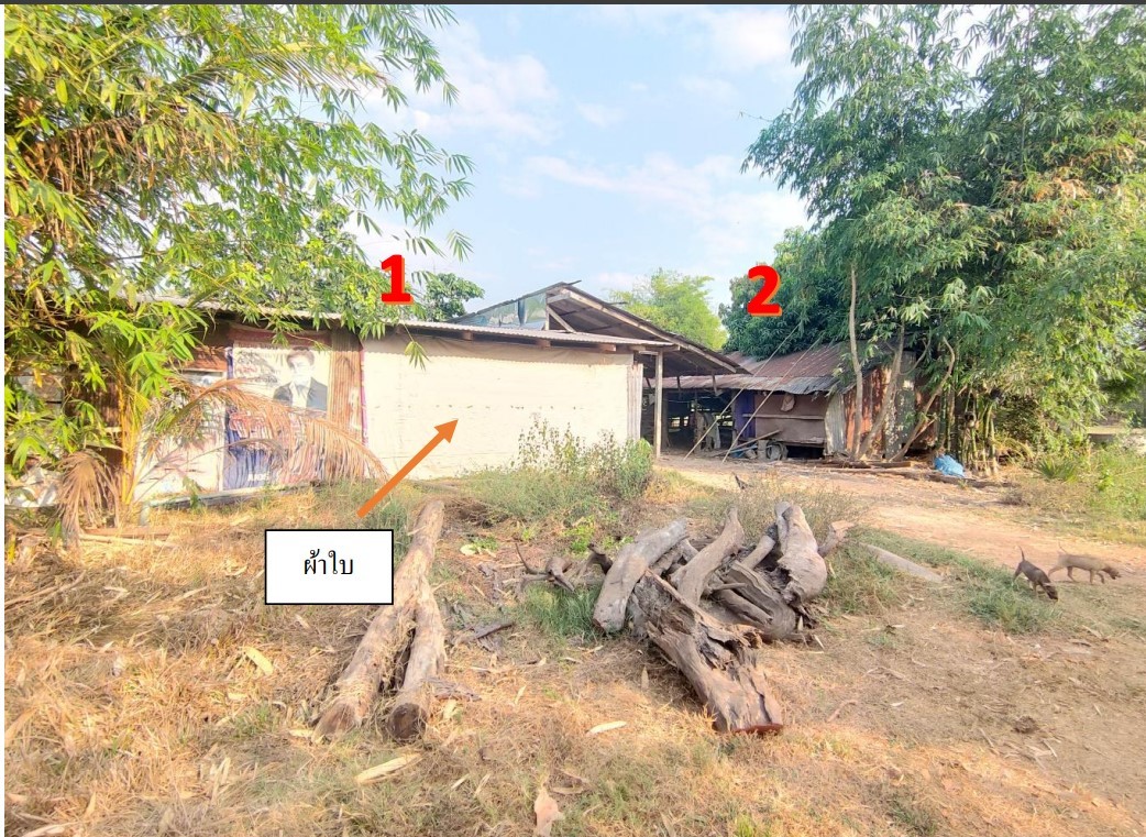 ขายทอดตลาด ที่ดินพร้อมสิ่งปลูกสร้าง ต.ท่าช้าง อ.สว่างวีระวงศ์ จ.อุบลราชธานี