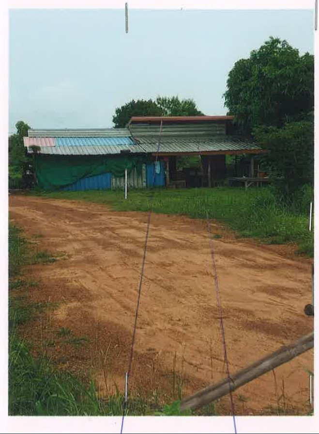 ขายทอดตลาด ที่ดินพร้อมสิ่งปลูกสร้าง ต.พะลาน อ.กิ่งอำเภอนาตาล จ.อุบลราชธานี