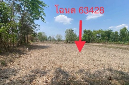 ขายทอดตลาด ที่ดินว่างเปล่า ต.บ้านธาตุ อ.เพ็ญ จ.อุดรธานี