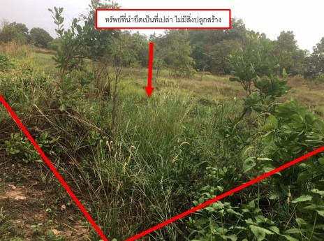 ขายทอดตลาด ที่ดินว่างเปล่า ต.คำน้ำแซบ อ.วารินชำราบ จ.อุบลราชธานี