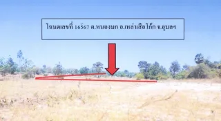 รูปทรัพย์ 1