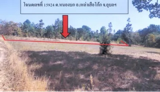 รูปทรัพย์ 2