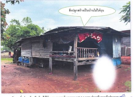 ขายทอดตลาด ที่ดินพร้อมสิ่งปลูกสร้าง ต.บ้านเชียง อ.หนองหาน จ.อุดรธานี