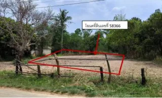 รูปทรัพย์ 3