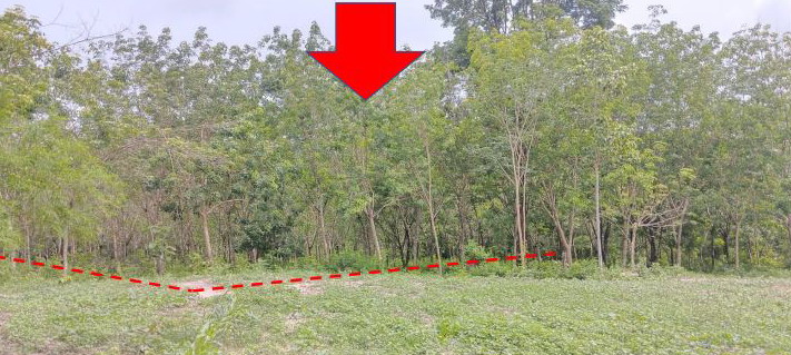 ขายทอดตลาด ที่ดินว่างเปล่า ต.เพ็ญ อ.เพ็ญ จ.อุดรธานี