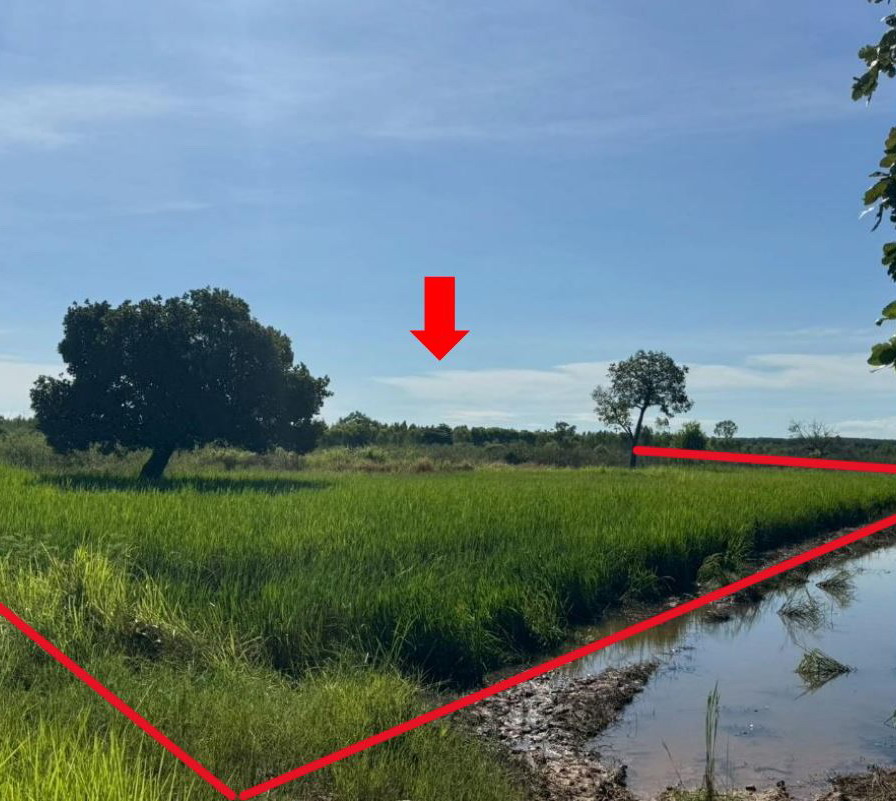 ขายทอดตลาด ที่ดินว่างเปล่า ต.บ้านจันทน์ อ.บ้านดุง จ.อุดรธานี