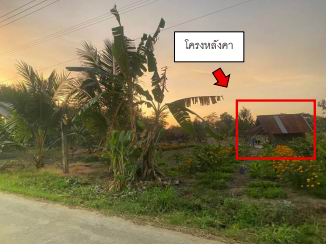 ขายทอดตลาด ที่ดินพร้อมสิ่งปลูกสร้าง ต.โนนผึ้ง อ.วารินชำราบ จ.อุบลราชธานี
