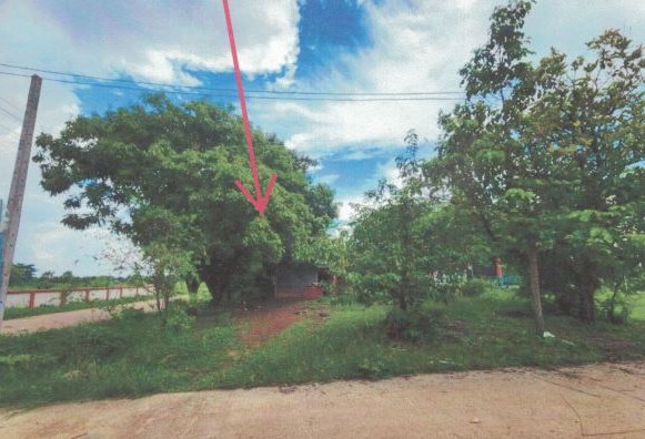 ขายทอดตลาด ที่ดินพร้อมสิ่งปลูกสร้าง ต.หนองไผ่ อ.หนองหาน จ.อุดรธานี