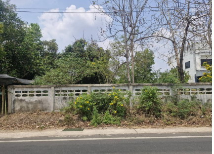 ขายทอดตลาด ที่ดินว่างเปล่า ต.หนองเหล่า อ.เขื่องใน จ.อุบลราชธานี