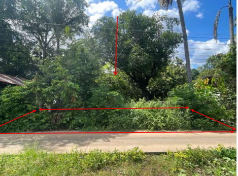 ขายทอดตลาด ที่ดินว่างเปล่า ต.ขุหลุ อ.ตระการพืชผล จ.อุบลราชธานี