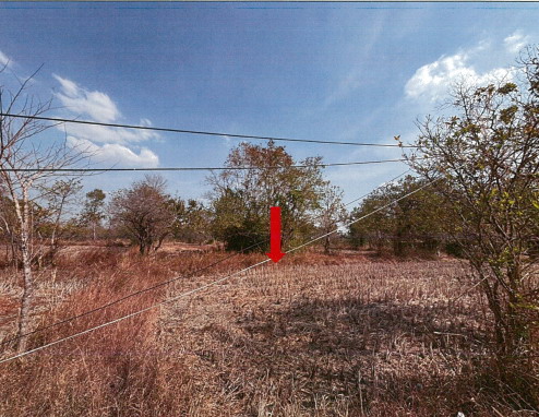 ขายทอดตลาด ที่ดินว่างเปล่า ต.กระเดียน อ.ตระการพืชผล จ.อุบลราชธานี
