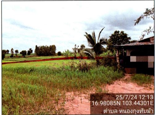 ขายทอดตลาด ที่ดินพร้อมสิ่งปลูกสร้าง ต.หนองกุงทับม้า อ.วังสามหมอ จ.อุดรธานี