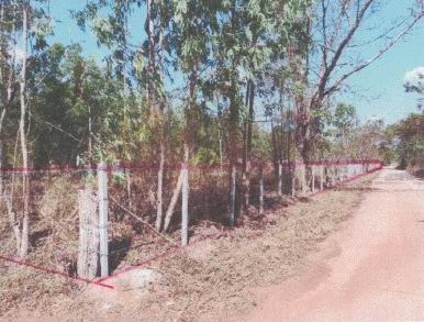 ขายทอดตลาด ที่ดินว่างเปล่า ต.ทุ่งใหญ่ อ.ทุ่งฝน จ.อุดรธานี