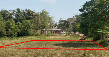 ขายทอดตลาด ที่ดินว่างเปล่า ต.ขามใหญ่ อ.เมืองอุบลราชธานี จ.อุบลราชธานี