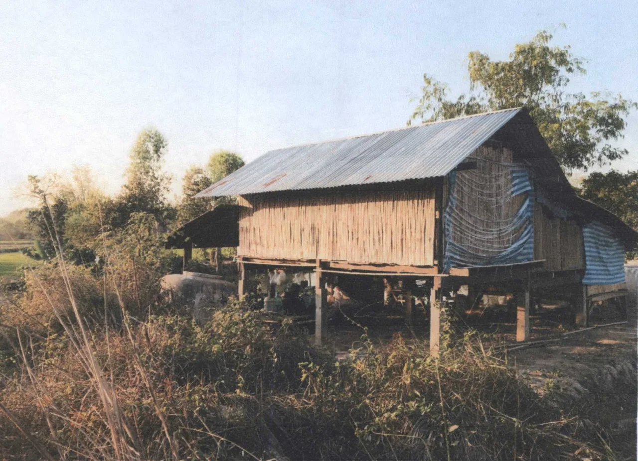 ขายทอดตลาด ที่ดินพร้อมสิ่งปลูกสร้าง ต.ชีทวน อ.เขื่องใน จ.อุบลราชธานี