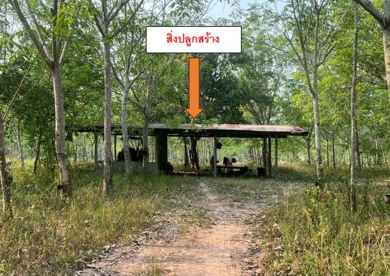 ขายทอดตลาด ที่ดินพร้อมสิ่งปลูกสร้าง ต.เชียงพิณ อ.เมืองอุดรธานี จ.อุดรธานี