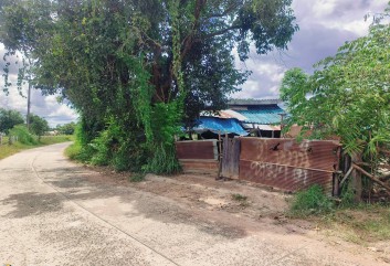 ขายทอดตลาด ที่ดินพร้อมสิ่งปลูกสร้าง ต.โพธิ์ศรี อ.พิบูลมังสาหาร จ.อุบลราชธานี