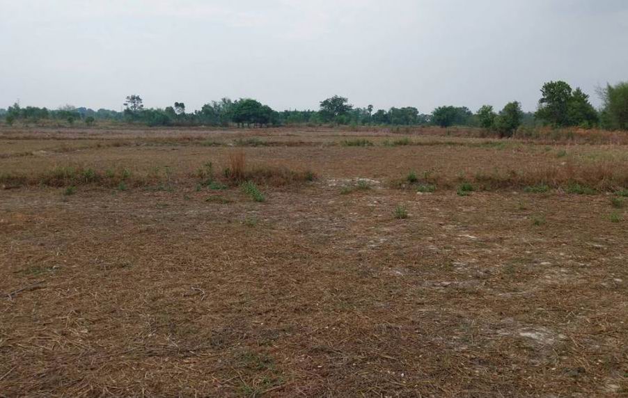ขายทอดตลาด ที่ดินว่างเปล่า ต.นาข่า อ.เมืองอุดรธานี จ.อุดรธานี