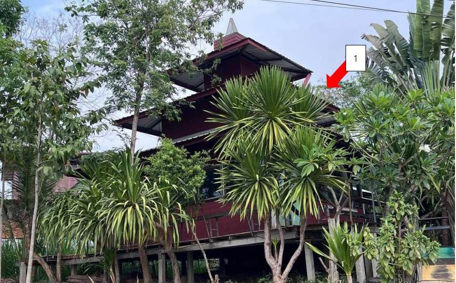ขายทอดตลาด ที่ดินพร้อมสิ่งปลูกสร้าง ต.หนองแสง อ.หนองแสง จ.อุดรธานี