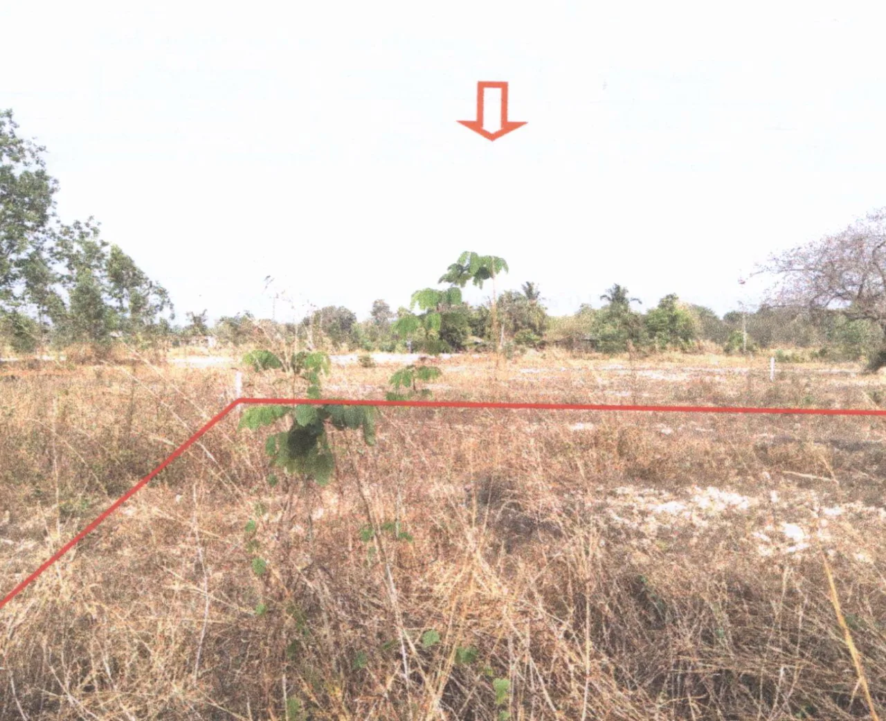 ขายทอดตลาด ที่ดินว่างเปล่า ต.ผักตบ อ.หนองหาน จ.อุดรธานี