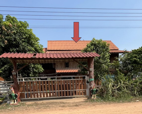 ขายทอดตลาด ที่ดินพร้อมสิ่งปลูกสร้าง ต.หนองบัว อ.เมืองกาญจนบุรี จ.กาญจนบุรี
