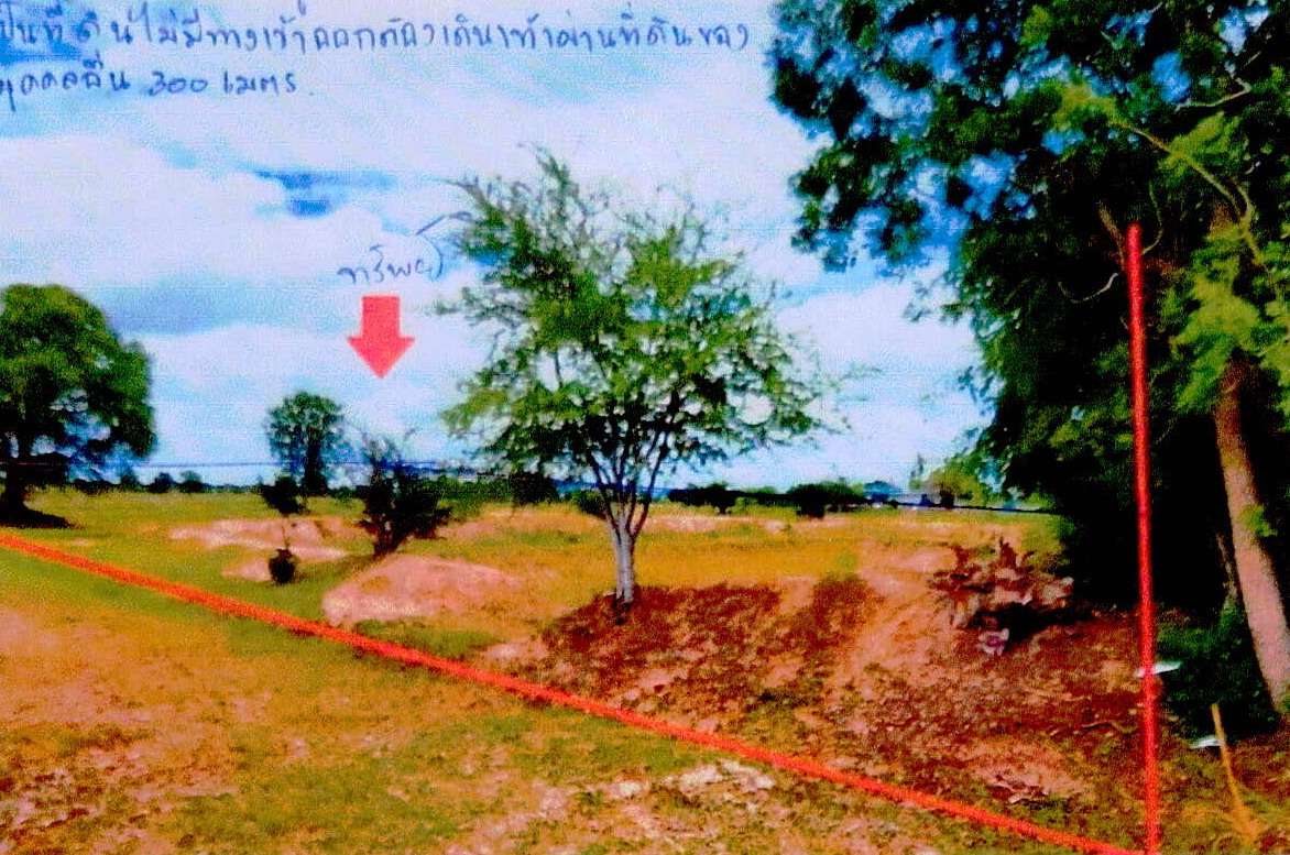ขายทอดตลาด ที่ดินว่างเปล่า ต.วังไผ่ อ.ห้วยกระเจา จ.กาญจนบุรี
