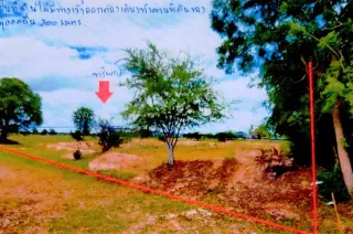 รูปทรัพย์ 1