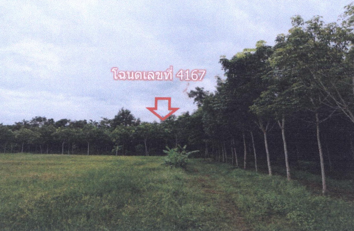 ขายทอดตลาด ที่ดินว่างเปล่า ต.บ้านยวด อ.สร้างคอม จ.อุดรธานี