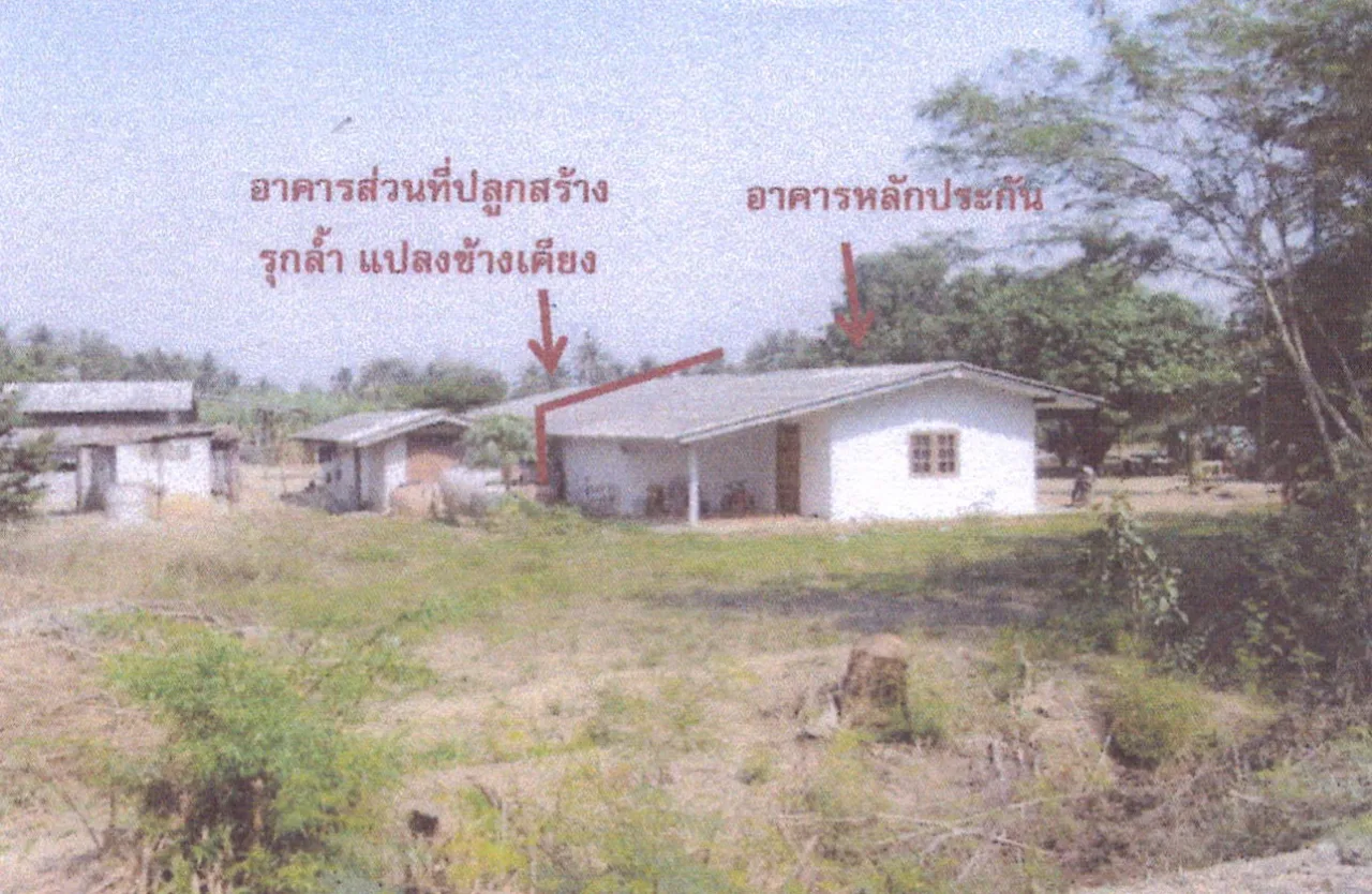 ขายทอดตลาด ที่ดินพร้อมสิ่งปลูกสร้าง ต.อุโลกสี่หมื่น อ.ท่ามะกา จ.กาญจนบุรี