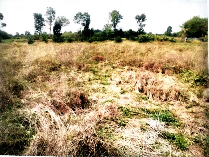 ขายทอดตลาด ที่ดินว่างเปล่า ต.บ้านม่วง อ.บ้านดุง จ.อุดรธานี