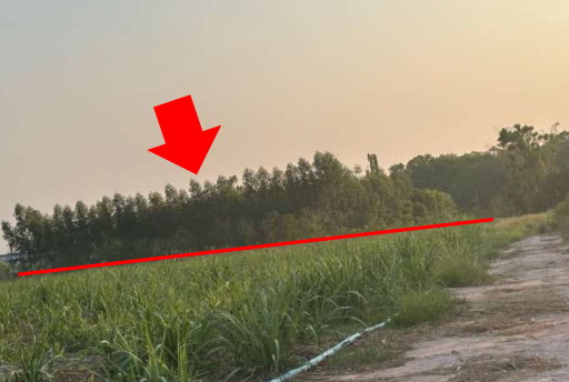 ขายทอดตลาด ที่ดินว่างเปล่า จ.กาญจนบุรี
