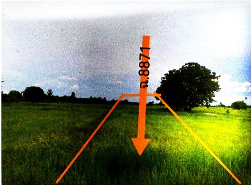 ขายทอดตลาด ที่ดินว่างเปล่า ต.วังไผ่ อ.ห้วยกระเจา จ.กาญจนบุรี