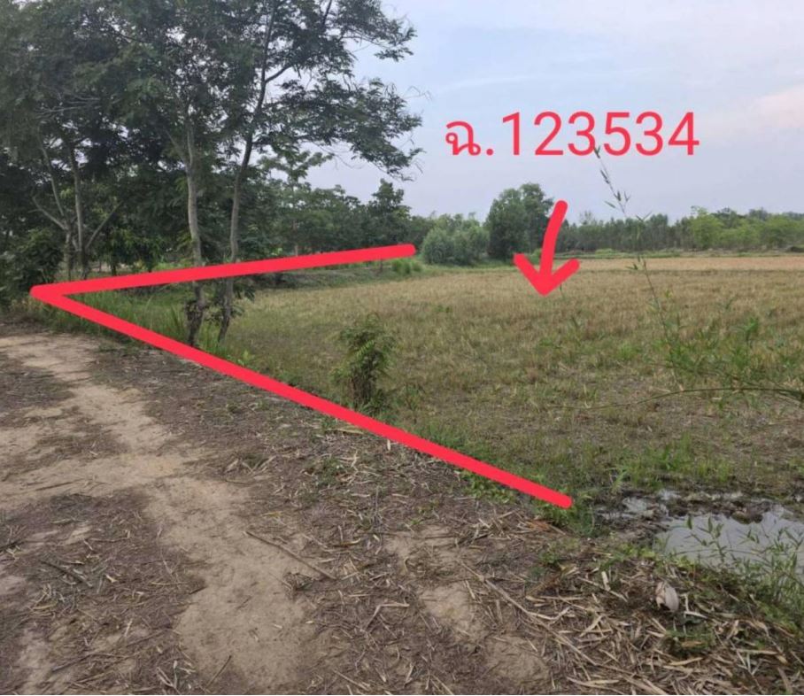 ขายทอดตลาด ที่ดินว่างเปล่า ต.เชียงยืน อ.เมืองอุดรธานี จ.อุดรธานี