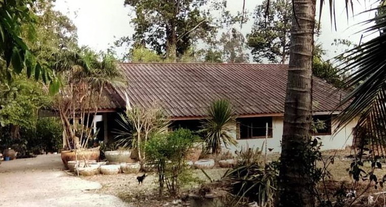 ขายทอดตลาด ที่ดินพร้อมสิ่งปลูกสร้าง ต.หนองบัว อ.เมือง จ.อุดรธานี